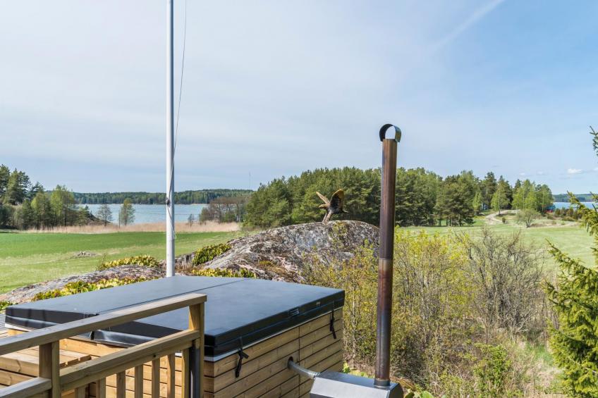 Villa pääsky - foto 5