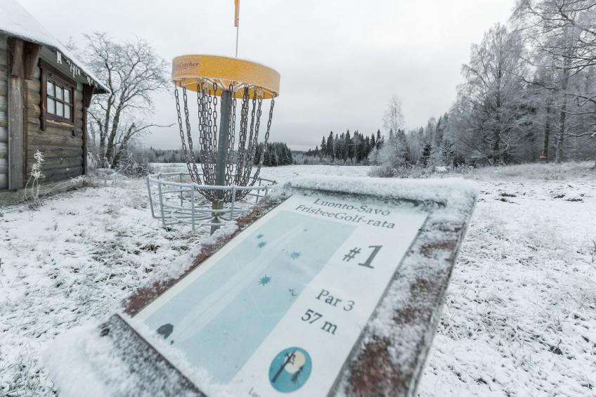 Kissaniemi - foto 19