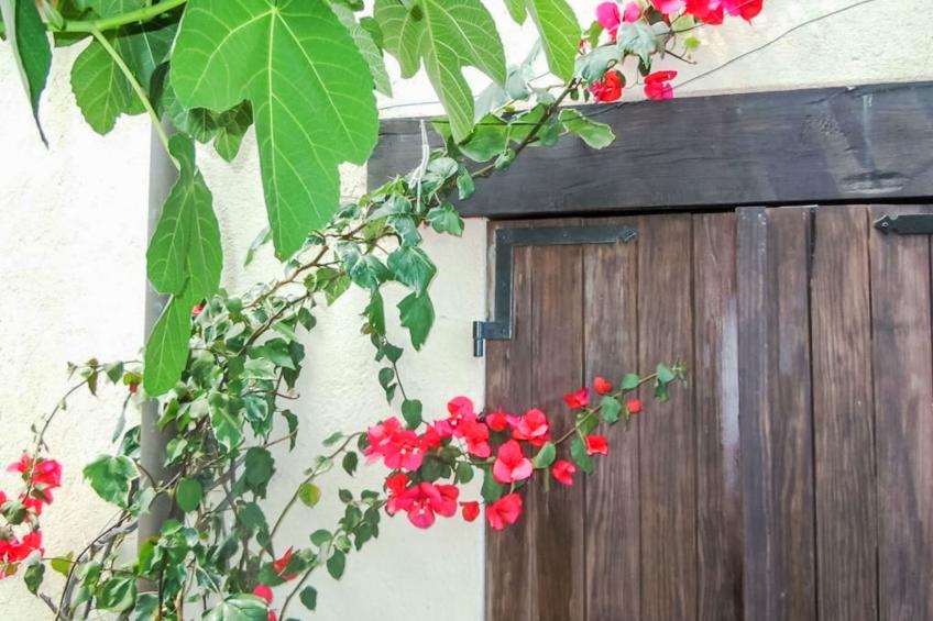 Schönes Ferienhaus mit Garten und Whirlpool - foto 21