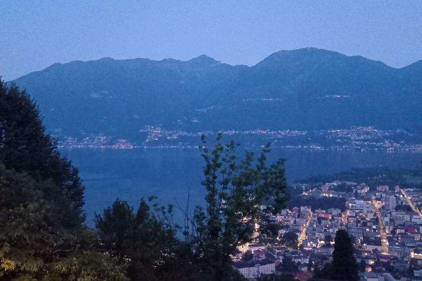 La Promenada - foto 15