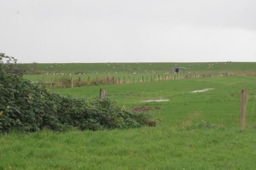 Großes Ferienhaus in Müggendorf mit Garten - foto 3
