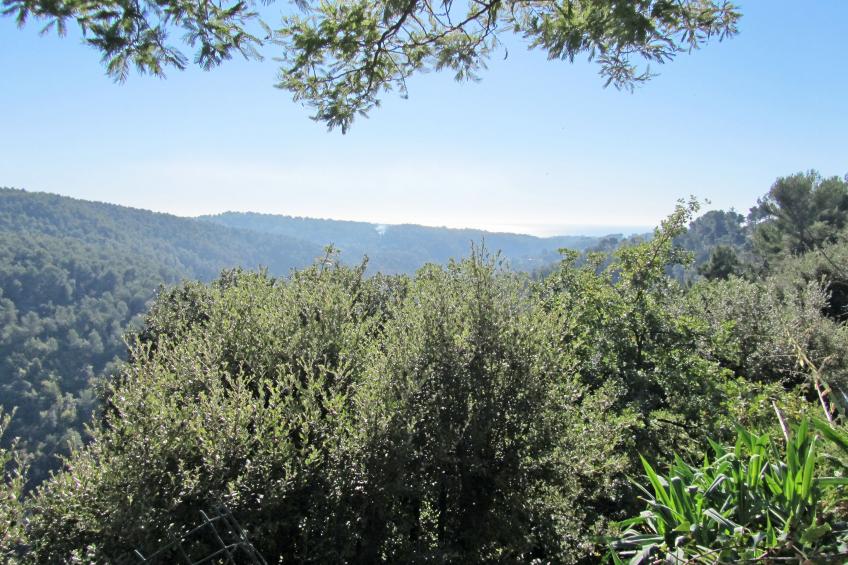 Villa Vivendi (VEN108) - foto 12