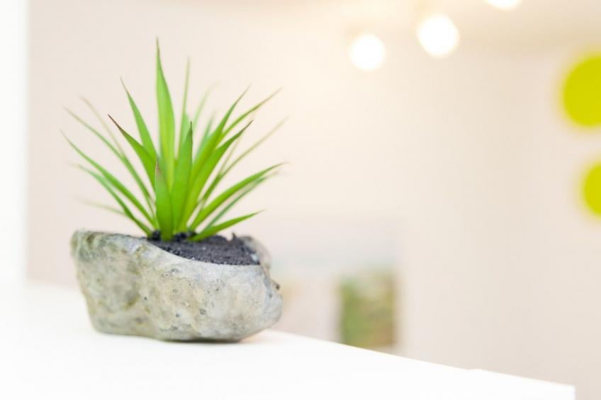 für 2 Personen  + 1 Kind ca. 45 m² in Stubenberg am See, Steiermark (Ostst - foto 9