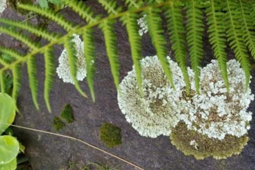 Casa Giardino Grande - foto 16