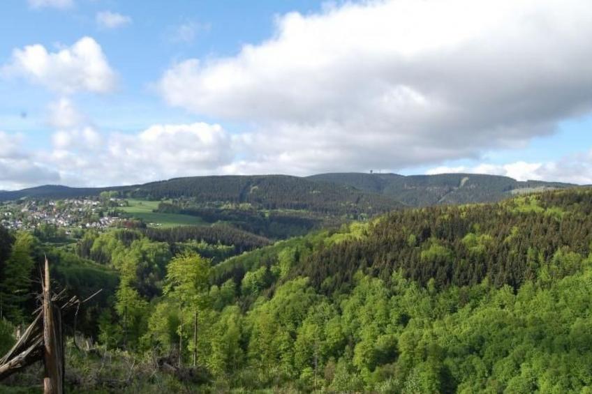 Thüringer Landhaus - foto 22