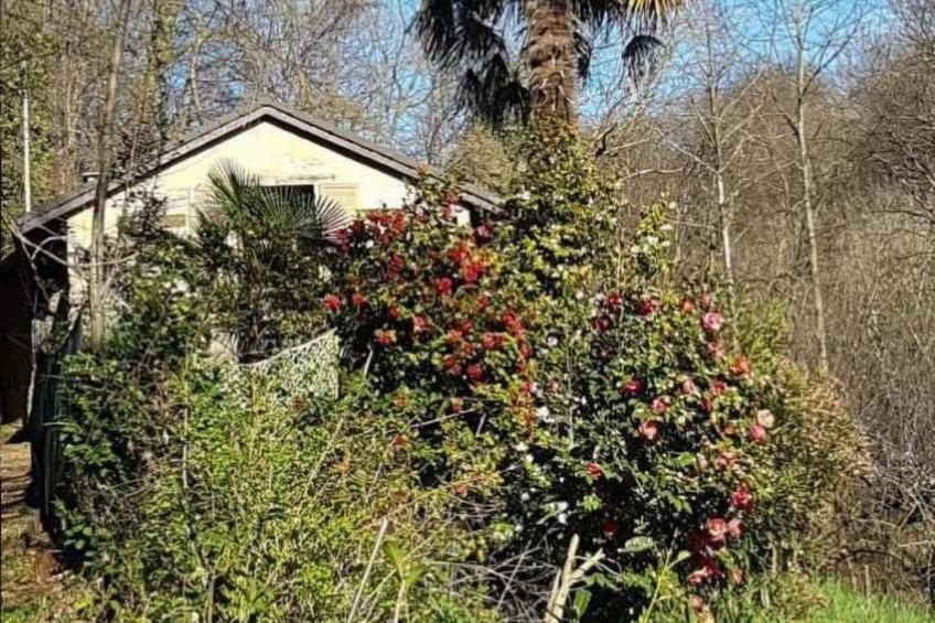 Casa Geissenstall - foto 19