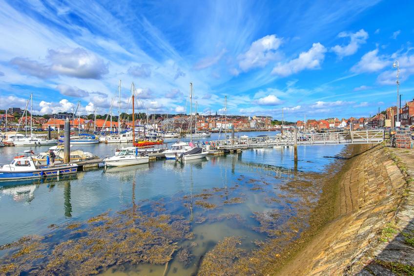 Tenby Cottage - foto 20