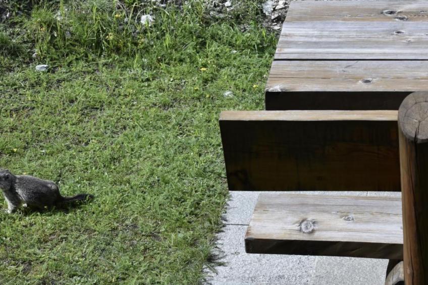 Chalet Le Murmure du Torrent - foto 38