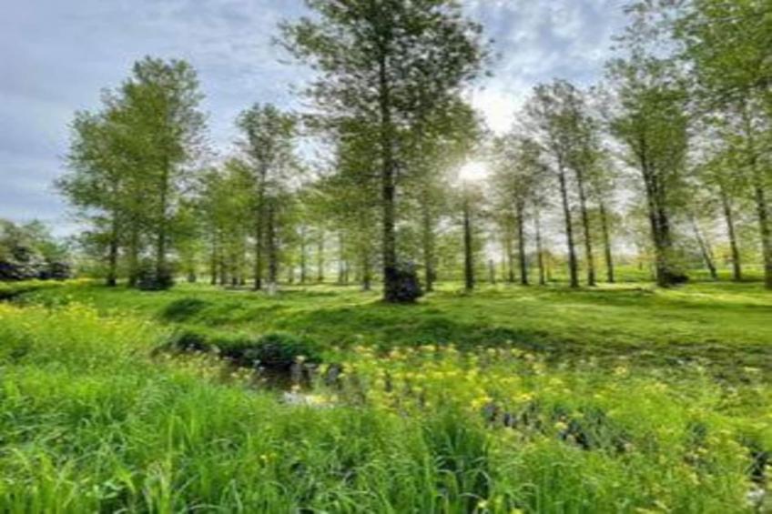 Het Bloesemklooster - foto 39