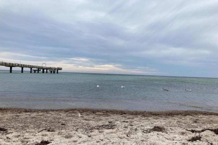 Ferienwohnung Albatross - strandnaher Urlaub Ostseebad Rerik - foto 22