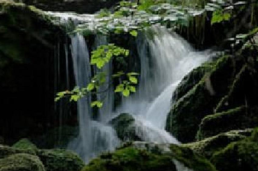 Seitz 2 in Bayerisch Eisenstein - foto 29