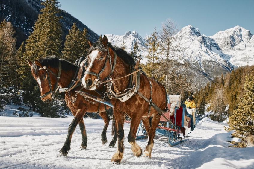 Hütte Ova Spin il Cuvel, (Zernez) - foto 3