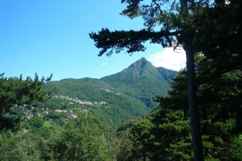 Bilo Nadia 3 piano - foto 28