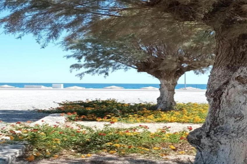 Emarmene Country Home - foto 29