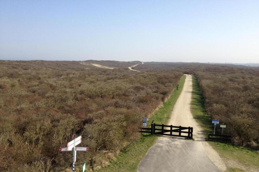 Strandpark Duynhille 4 - foto 32