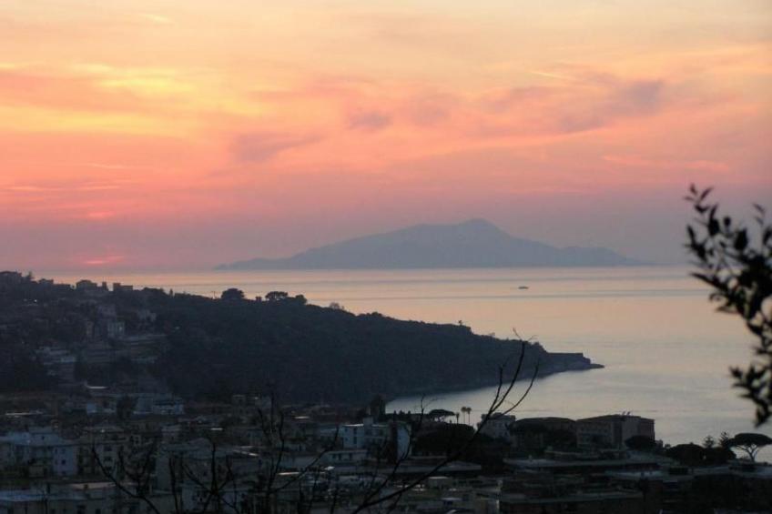 Rosa' Wohnung mit privatem Garten - foto 13