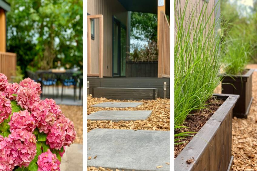 Campanula 136 - foto 18