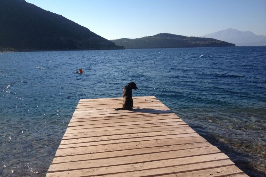 Spiti Louloudia - foto 34