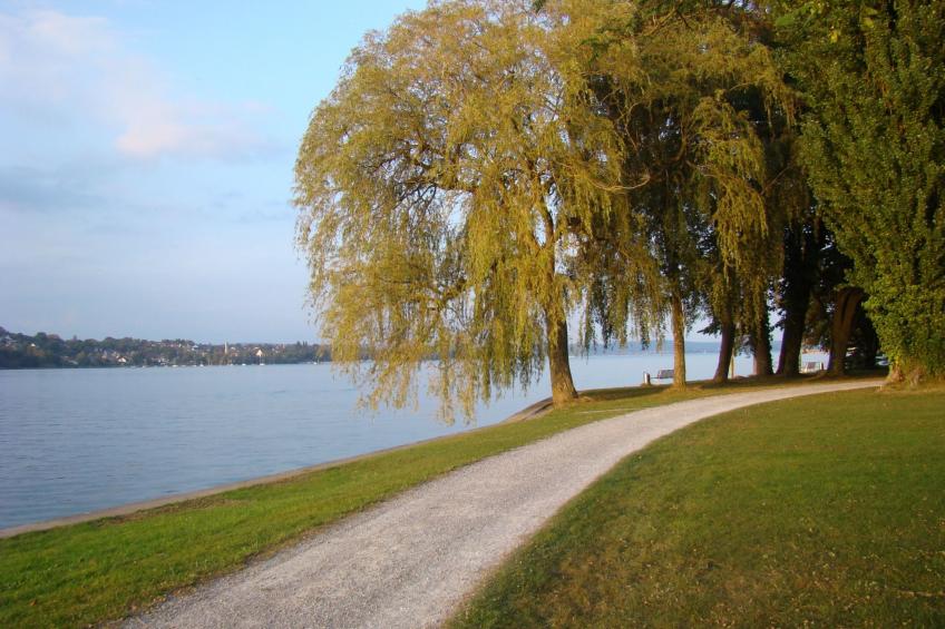 Wohlfühloase - foto 19