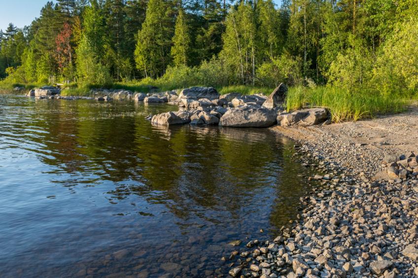 Koli, köllölä 1, cjoe59 - foto 35