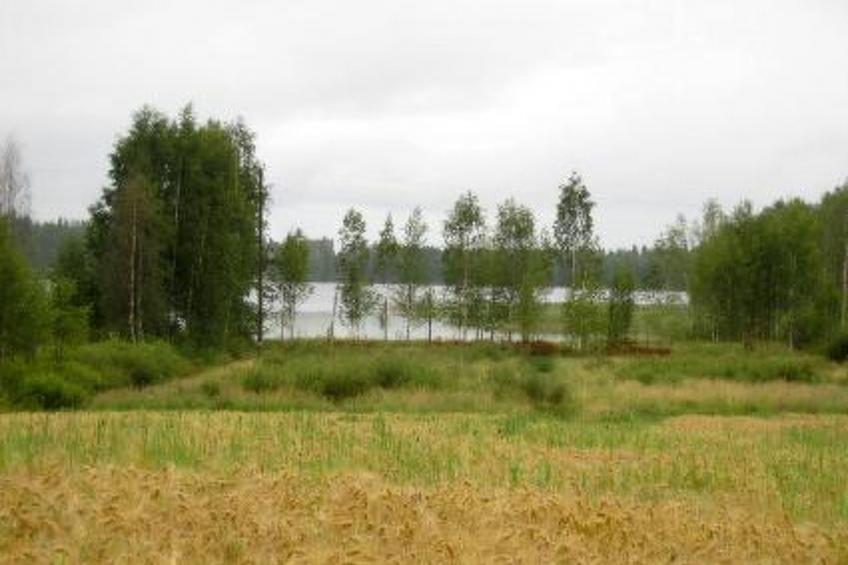 Jokela - foto 46