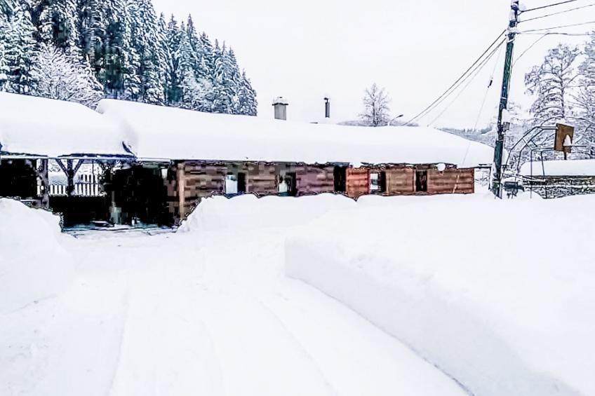 U Jelení obory - foto 16