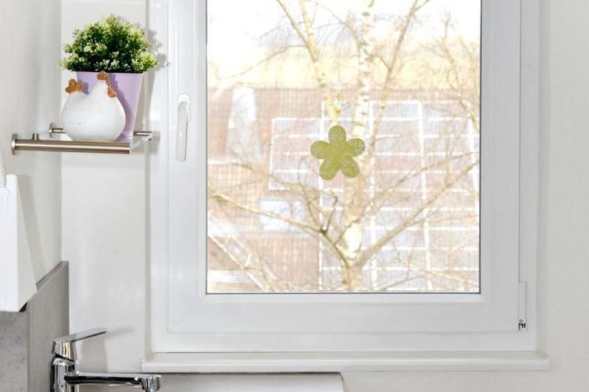 in Feldmannshof mit Grill und Garten - foto 19