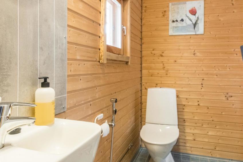 Pikkupöllö - foto 9