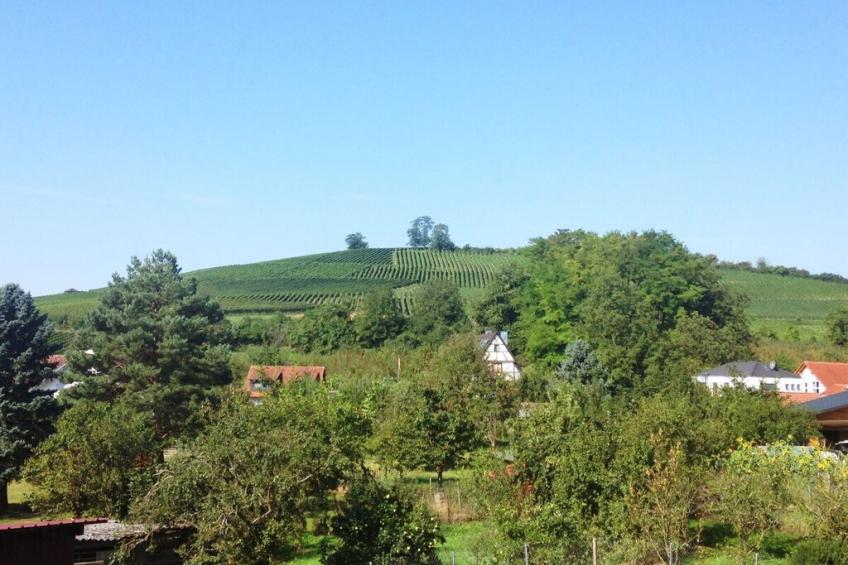 13645 - foto 3
