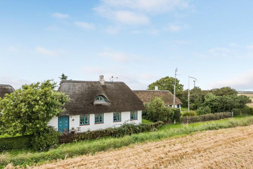 "Clausina" - 600m from the sea in Western Jutland - foto 27