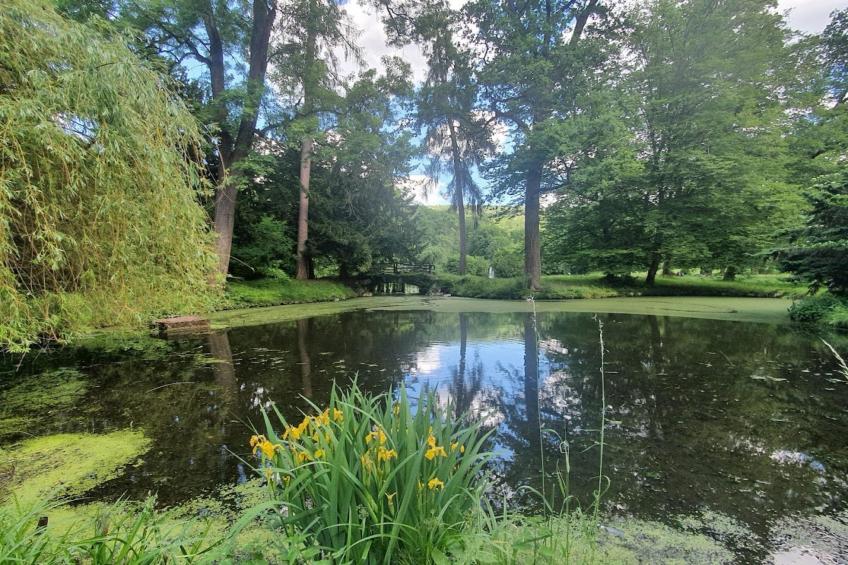 Suite with Hot Tub - foto 24