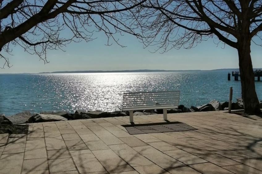 Strandläuferle - foto 28