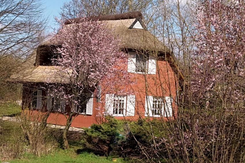 Idyllisches Reetdachhaus mit großem Garten - foto 2
