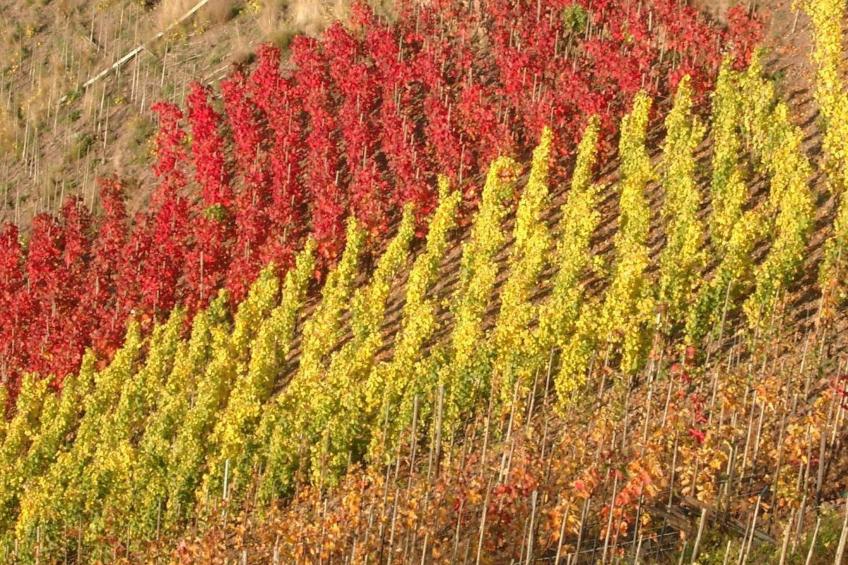 Schneemann - foto 26