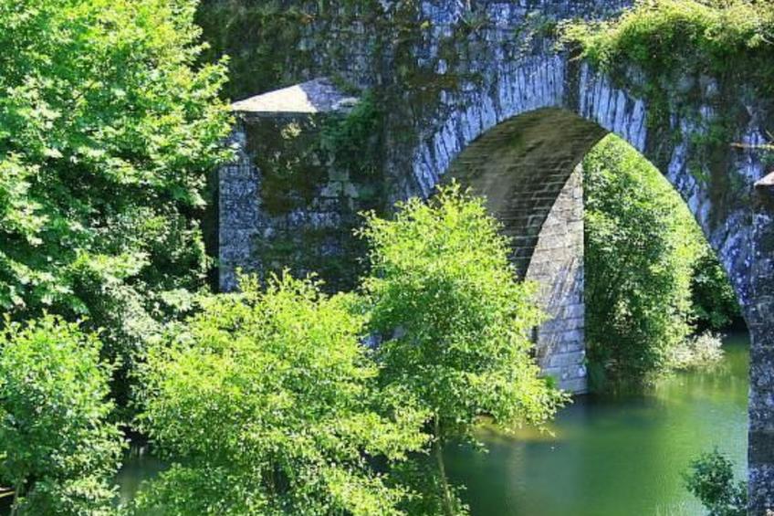 Ländliche Finca "Casa da Rocha" - foto 24