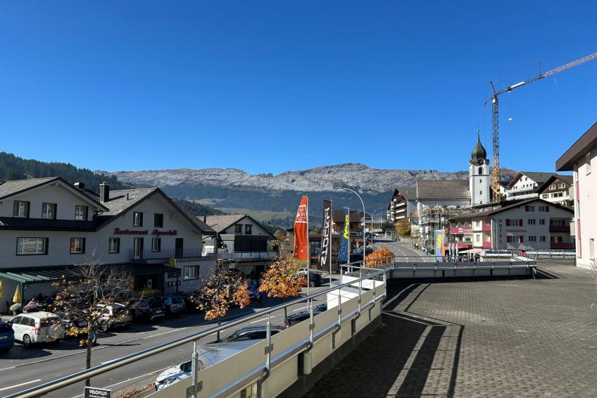 Wohnung Hirschi - foto 18