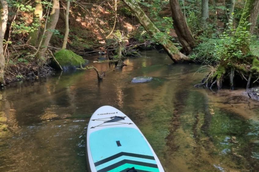 Lublewo21 Ferienhäuser - foto 28
