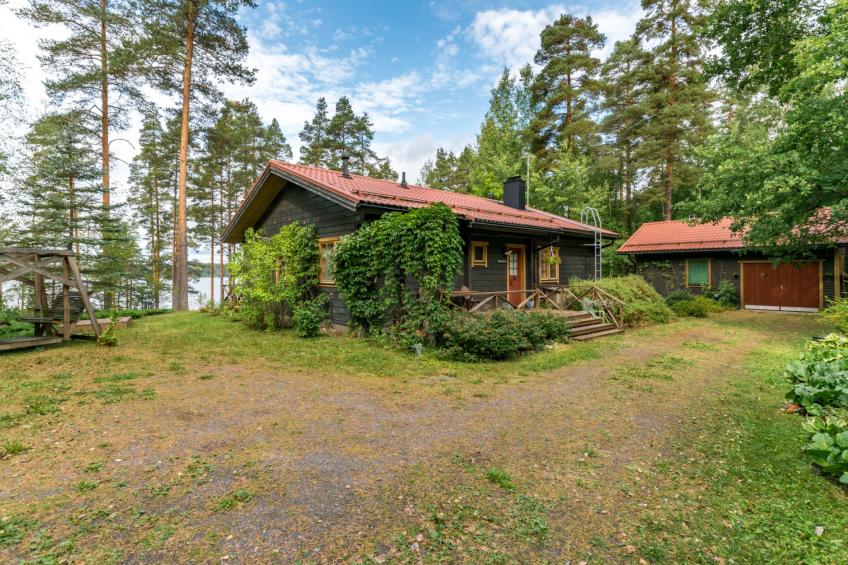 Metsä-iivari - foto 24