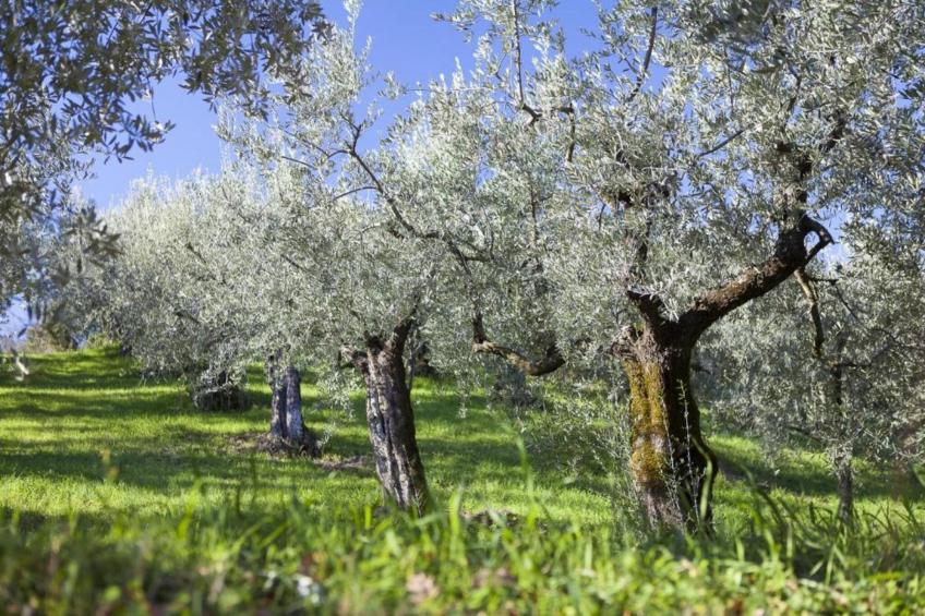 Appartamento 4 persone - foto 31