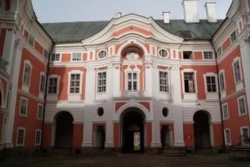 in natürlicher Umgebung - foto 25