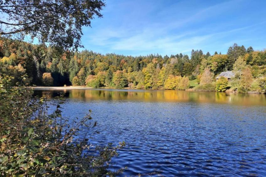 Altes Forsthaus - foto 38