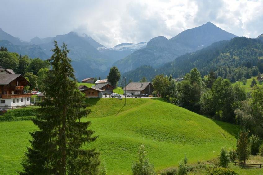 Marmotte, Chalet Appartement/Fewo, Dusche, WC 4-Bettwohnung - foto 8