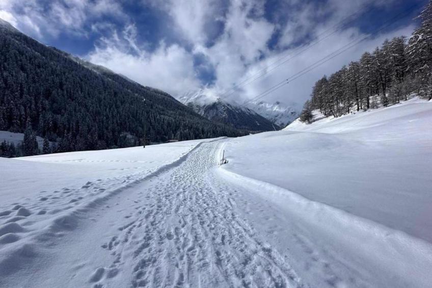 Haus Carnot - Apartment EG - foto 22