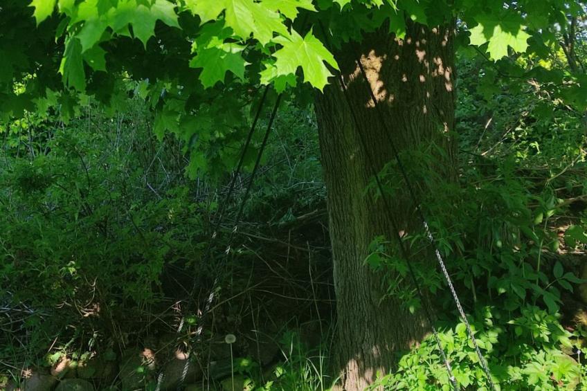 Janet Ratschkowski - foto 45