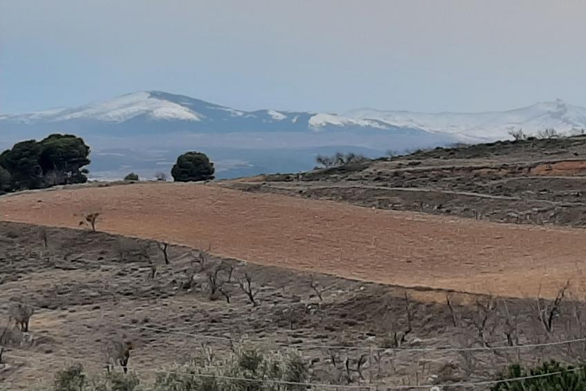 Weingut "Garnacha de Borja". - foto 31