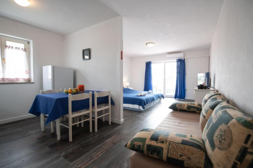 Apartments Mirjana IKA - Studio Apartment With Balcony  (A1)