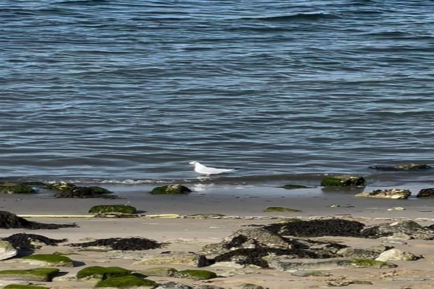 Resort Waterrijk Oesterdam 12 - foto 24