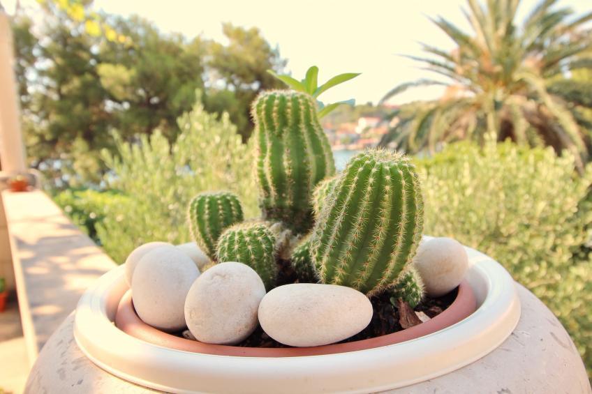 Apartment Kim- Two Bedroom Apartment with Terrace and Sea View - foto 32