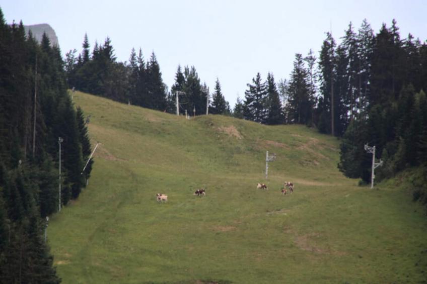 Studio à Les Carroz-d'Arâches - foto 13