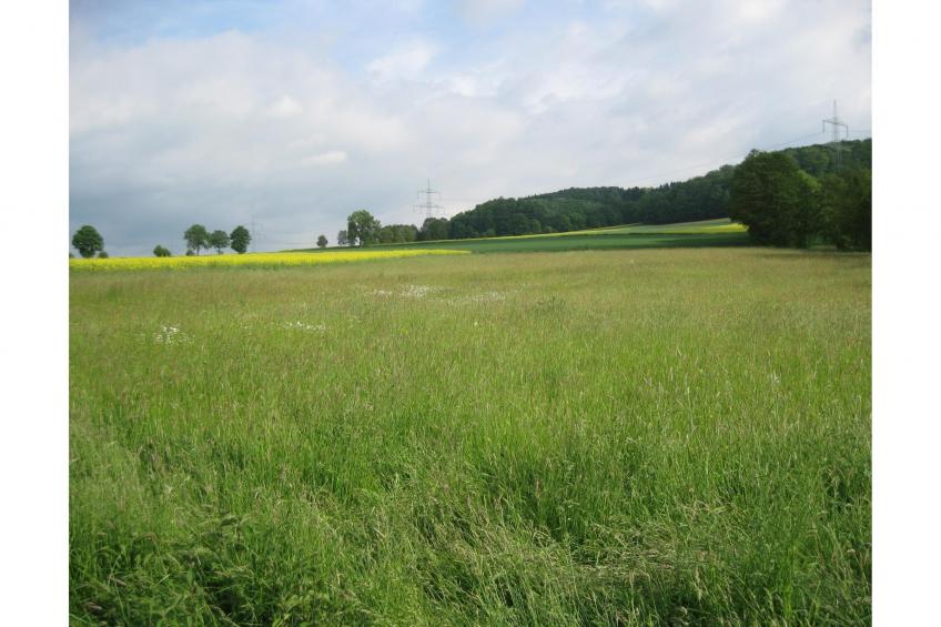 Gästehaus Kühne Fewo 2 DG & Fewo 1 OG - foto 20